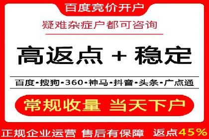 百度竞价与搜索引擎优化（SEO）结合的经典案例